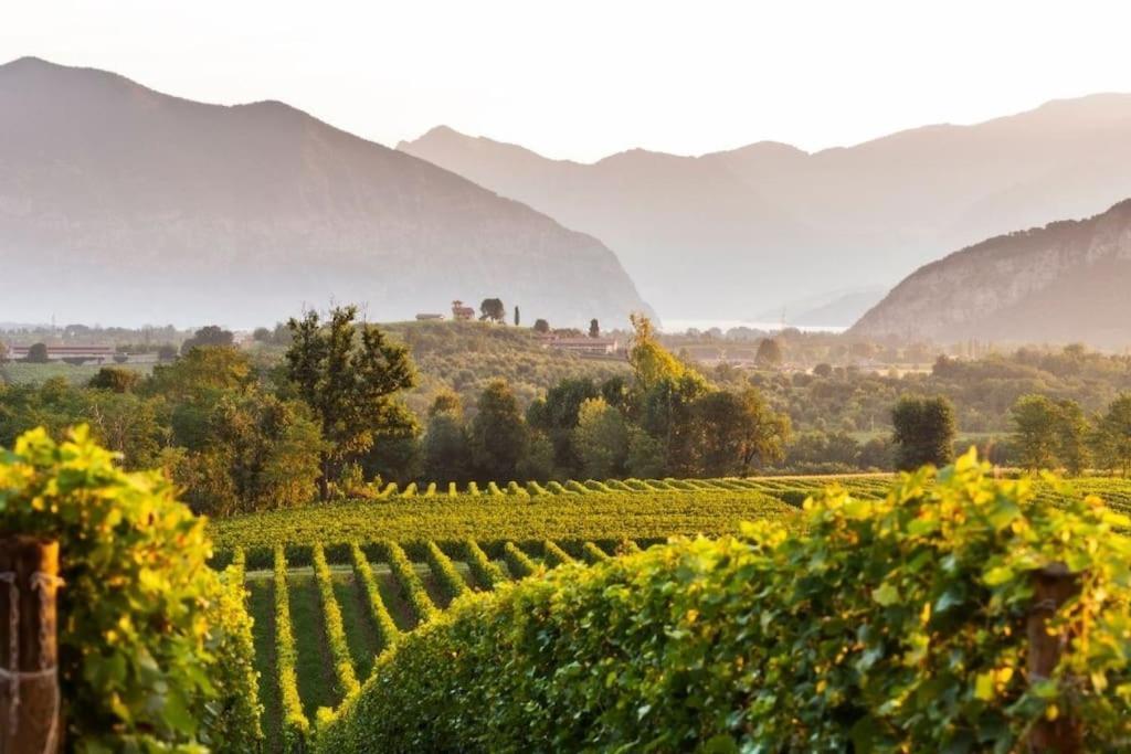 La Dolce Vita - Vista Lago E Piscina Parzanica المظهر الخارجي الصورة